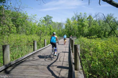 1803 Cool Spg Dr, Alexandria VA 22308-1630 exterior