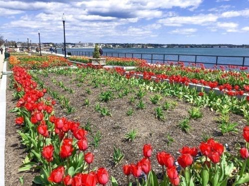 12 Hampden St, Gloucester MA  01930-3618 exterior