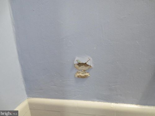 1335 Taylor St, Washington DC 20011-5508 exterior