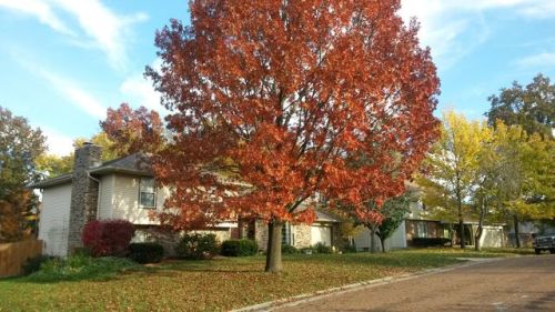 3816 Pinecrest Dr, Columbia, MO 65202-2134