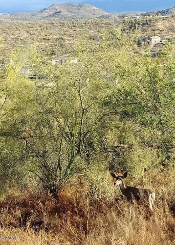 47740 31 Ave, Phoenix AZ 85009-2448 exterior