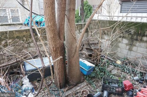 438 Federal St, Philadelphia PA 19147-5209 exterior