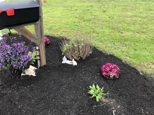 10 Sunapee St, Nashua, NH 03063-1508