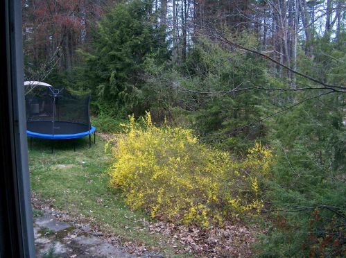 9 Rand Rd, Concord NH 03304-3817 exterior