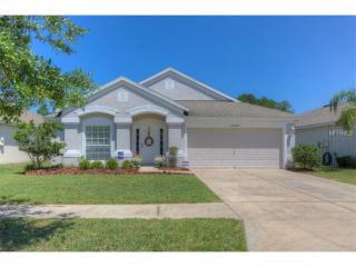 25209 Lexington Oaks Blvd, Zephyrhills, FL 33544-6503