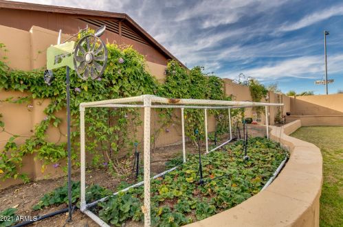 3061 Betty Elyse Ln, Phoenix AZ 85032-4296 exterior