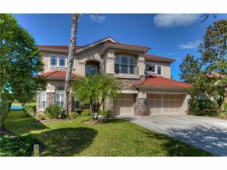 14730 San Marsala Ct, Tampa, FL 33626-3316