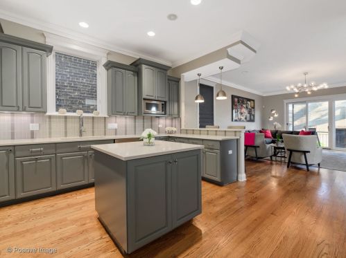 1707 Nelson St, Chicago IL 60657-3027 exterior