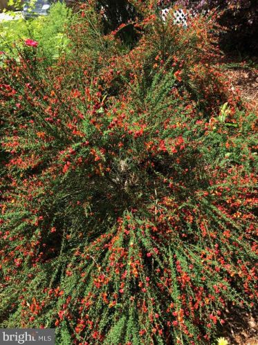 317 Lees Ave, Camden NJ 08108-3107 exterior