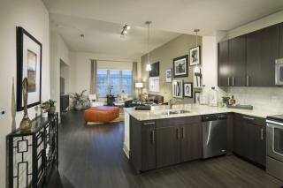 2630 Bissonnet St, Houston TX  77005-1347 exterior