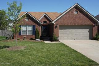 7229 Meadow Ridge Dr, Louisville KY  40218-3780 exterior