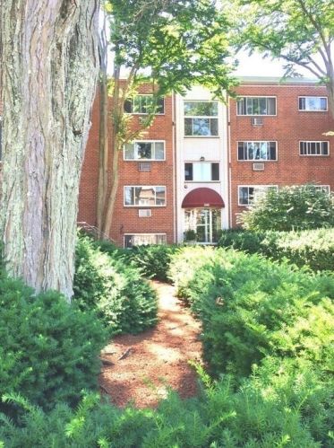 245 Kelton St, Boston MA  02134 exterior