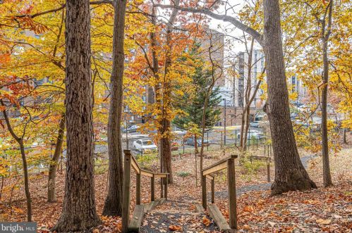 5904 Mount Eagle Dr, Alexandria VA  22303-2534 exterior