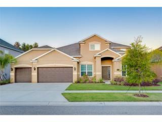 19103 Climbing Aster Dr, Tampa, FL 33647-3543