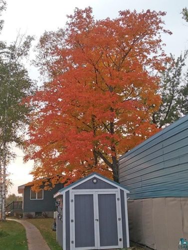 6839 Lawnwood Rd, Duluth MN 55803-9255 exterior