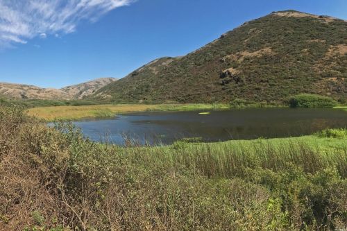 263 Cardinal Rd, Mill Valley CA 94941-3617 exterior