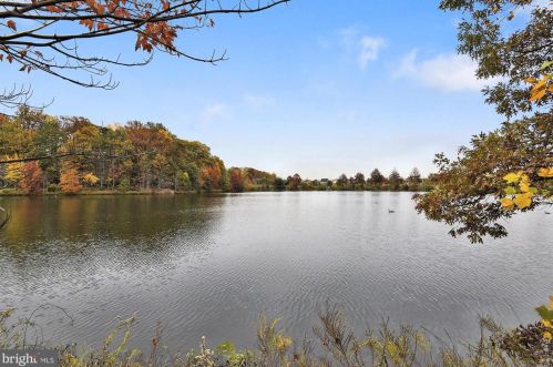 7027 Chesley Search Way, Alexandria VA 22315-4754 exterior