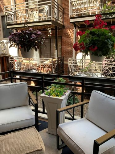 1133 Grace St, Chicago IL 60613-2843 exterior