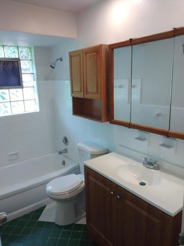 2452 Shannon Ave, Saint Louis MO 63136-3861 exterior