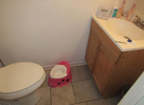 1505 76 St, Chicago IL 60619-2709 exterior