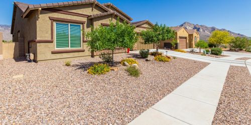 11656 Silverwood Dr, Tucson AZ 85739-1003 exterior