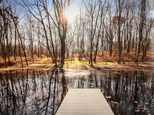 1811 Starr View Ln, Middlevle MI  49333-8066 exterior