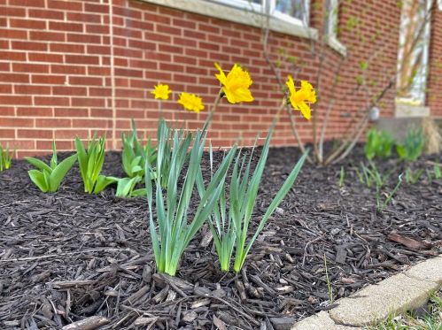 1342 90, Milwaukee WI 53214-2842 exterior