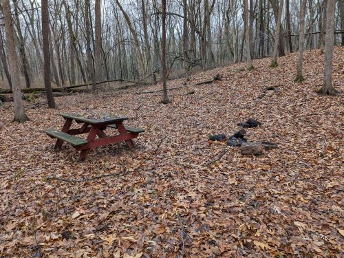 3763 2 St, Kalamazoo MI 49009-9319 exterior