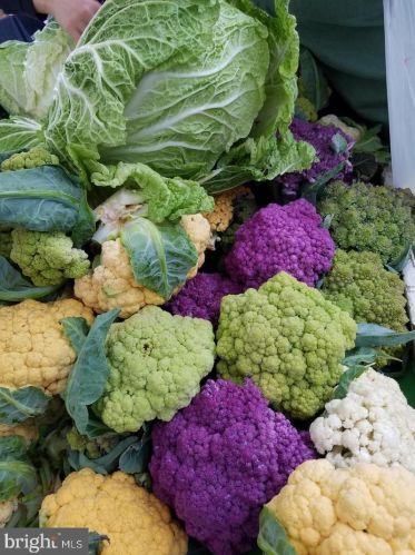 4 Monroe St, Rockville MD 20850-2519 exterior