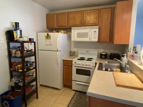 345 Eastgate Pl, Chicago IL  60616-5504 exterior