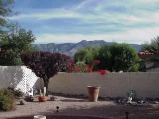 38307 Silverwood Dr, Tucson AZ  85739-1003 exterior