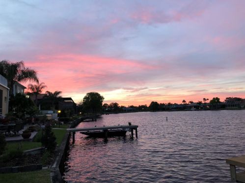 10541 Cory Lake Dr, Tampa FL  33647-2711 exterior