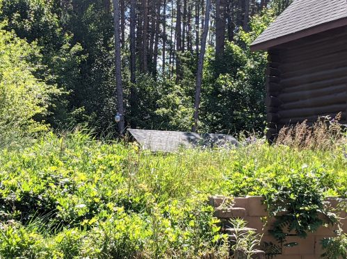 3125 Cline Rd, Meskegon MI 49444-8706 exterior