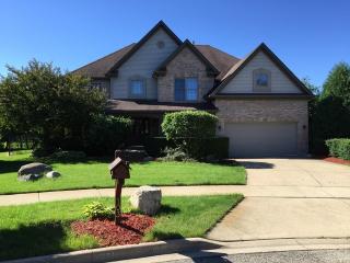 103 Jason Ct, Aurora IL  60502-9063 exterior