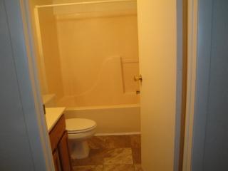 1113 Bellows St, Mount Pleasant MI  48858-3604 exterior