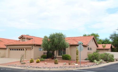 38420 Apache Vw Dr, Tucson AZ  85739-1058 exterior