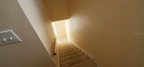 11560 Fountainhead Dr, Tampa FL 33626-3321 exterior