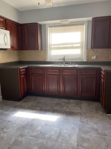 326 107th Pl, Chicago IL  60628-3336 exterior