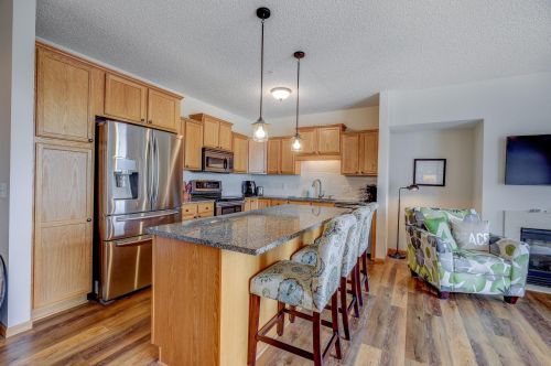 14587 Florissant Path, Saint Paul, MN 55124-4425