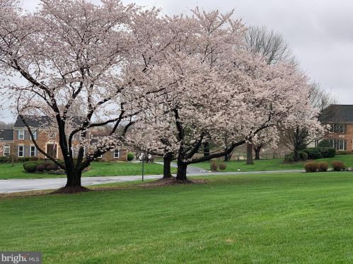 19840 Meredith Dr, Rockville MD 20855-2426 exterior