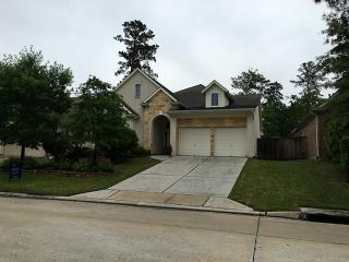 27 Tapestry Forest Pl, Spring TX  77381-4846 exterior