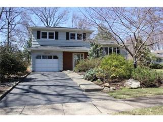 3 Belvidere Ave, Edison, NJ 08820-2334