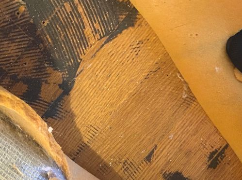 8355 Kedvale Ave, Chicago IL 60624-3529 exterior