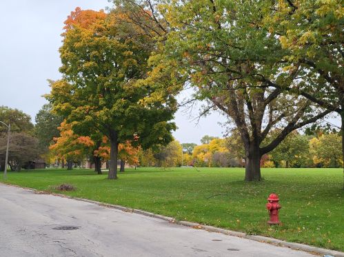 4651 48, Milwaukee WI 53220-4113 exterior