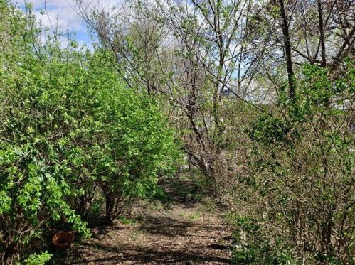 118 Natchez St, Pittsburgh PA 15211-1906 exterior