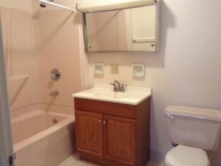 203 Webster Ave, Scranton PA  18505-1430 exterior