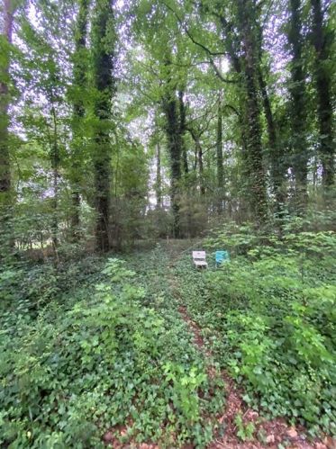 1118 Fayetteville Rd, Atlanta GA 30316-3629 exterior