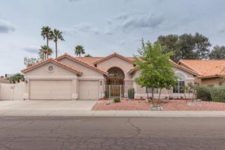 14202 46th Pl, Phoenix AZ  85032-5560 exterior