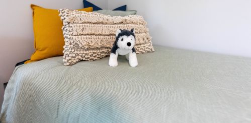 2301 17 Ave, Broadview IL 60153-2904 exterior