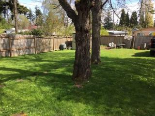 7738 12th Ave, Seattle WA  98106-2068 exterior